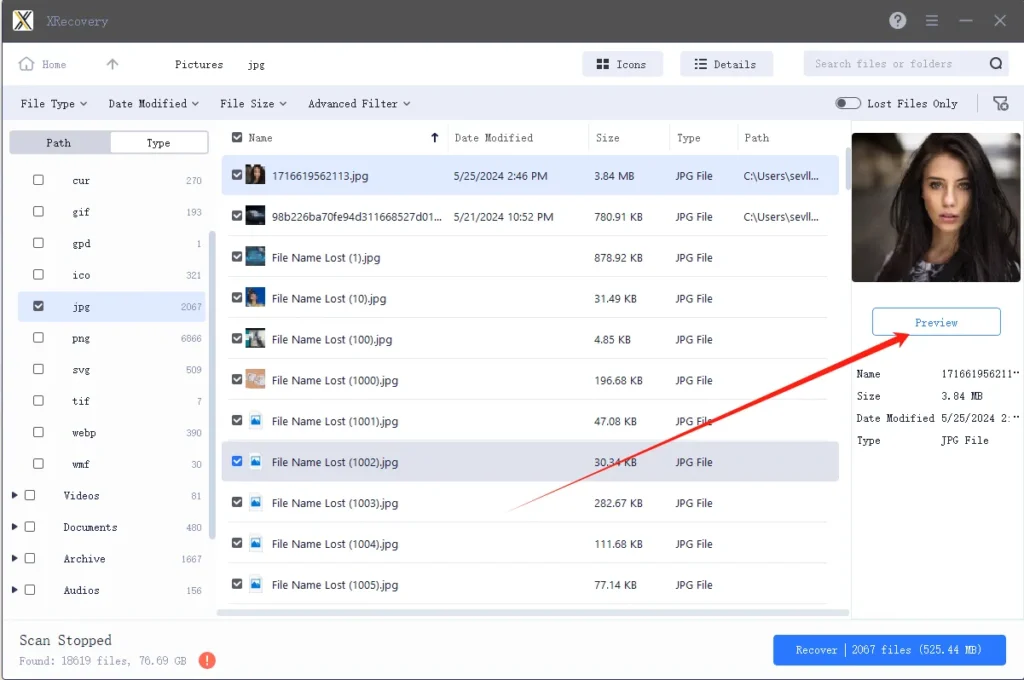 Step 2: Recover the files you want