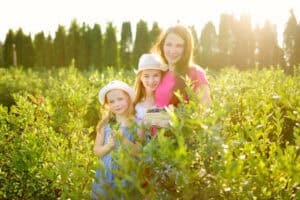 Children playing under the sun, rediscovering the warmth of family moments.