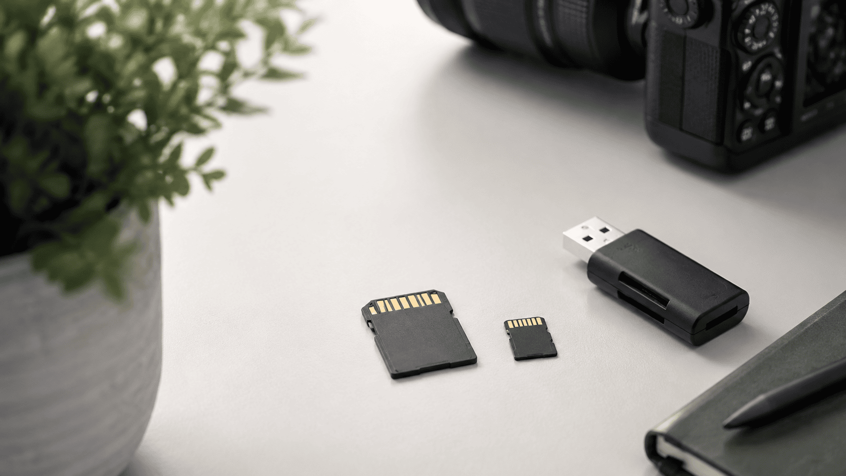 An SD card and microSD card beside a reader on a neutral desk.